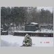 DSC02275.JPG