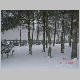 DSC02279.JPG