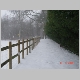 DSC02289.JPG