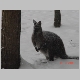 DSC02294.JPG