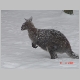 DSC02300.JPG