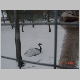DSC02304.JPG