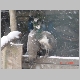 DSC02308.JPG