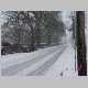 DSC02320.JPG