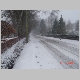 DSC02328.JPG